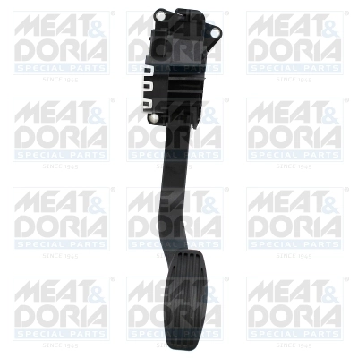 Accelerator Pedal Unit